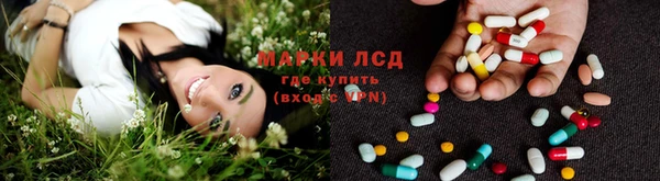 трава Приозерск