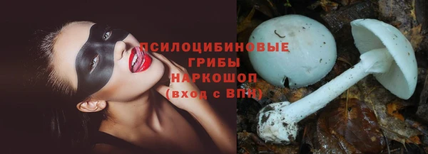 трава Приозерск